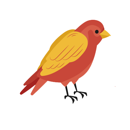 bird orange icon