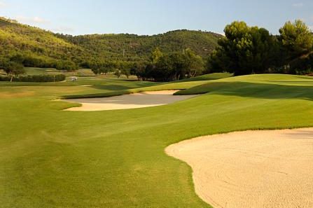 sonquint e1717489030812