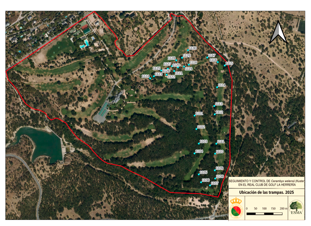 Informe Cerambyx 2025 NP