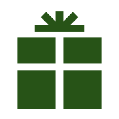 icon 9 v10